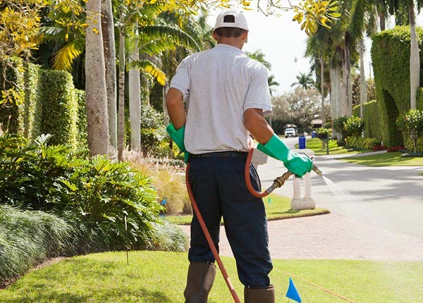 About Powhatan AR Pest Control Pros